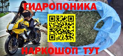 гидропоника Кунгур